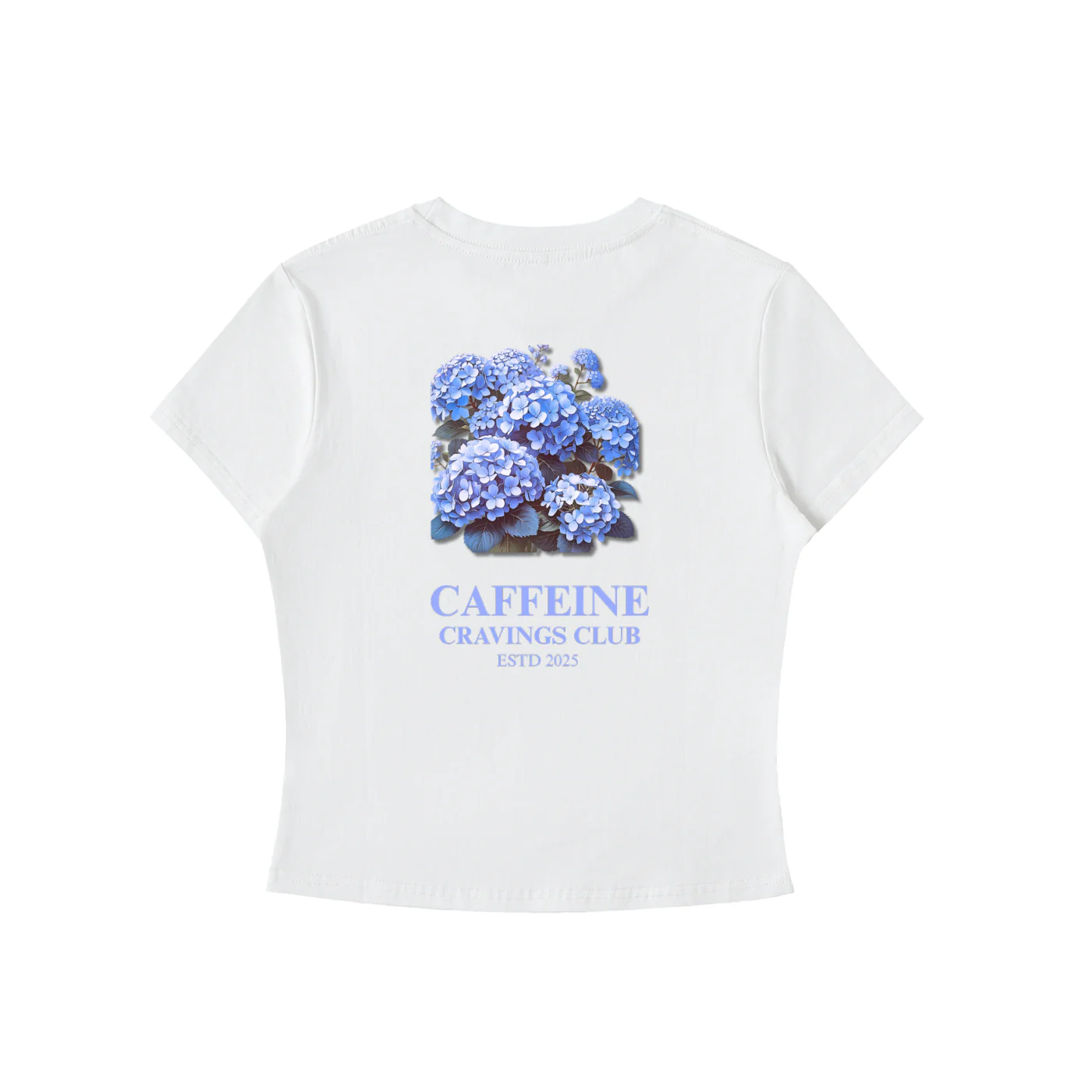 Blue Hydrangea Cropped Back